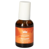 DYNAMIS oral Spray AUB